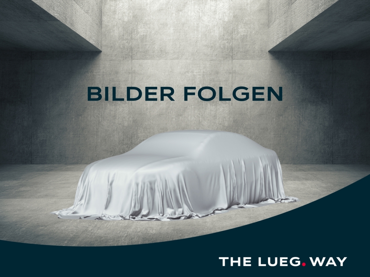 A 200  AMG-EDITION+WINTERPAKET+AHK+LED+DISTRONIC